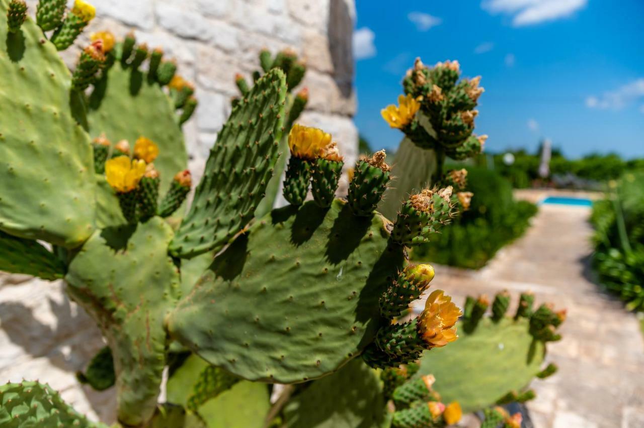Villa Wepuglia - Trullo Rampone Martina Franca Exterior foto
